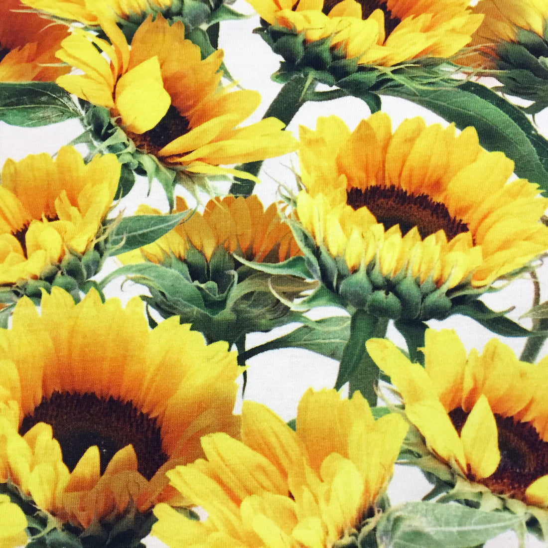 Molo Body Fonda Sunflower Fields