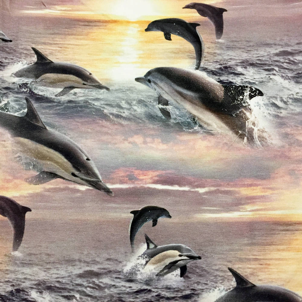 Molo UV Badeoverall Neka Dolphins Sunset