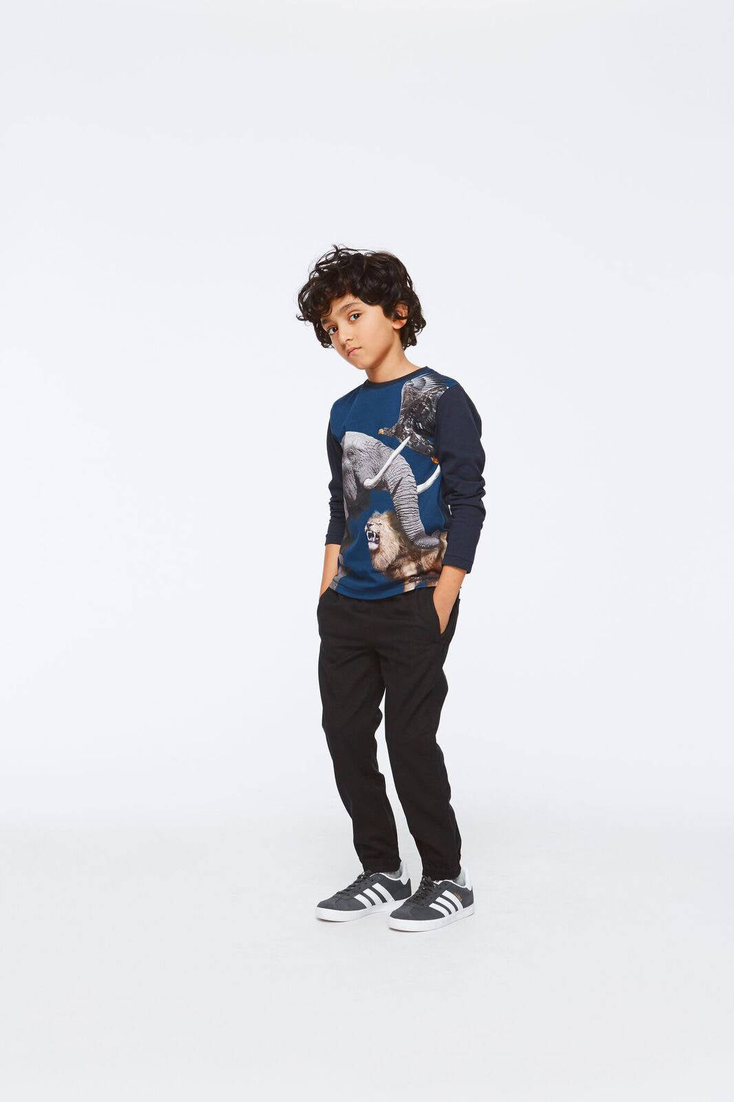 Molo Shirt Rexol United Animals