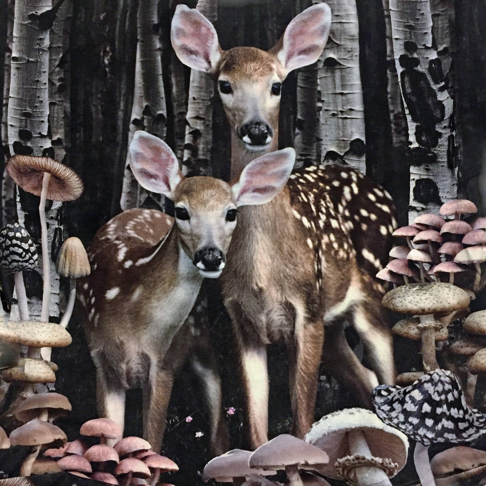 Molo Kleid Claire Amongst the Trees