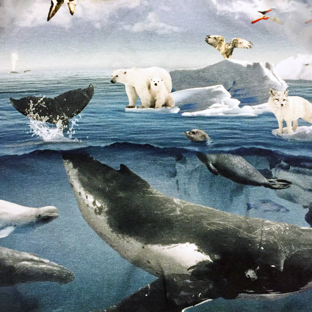 Molo Body Floyd Arctic Landscape