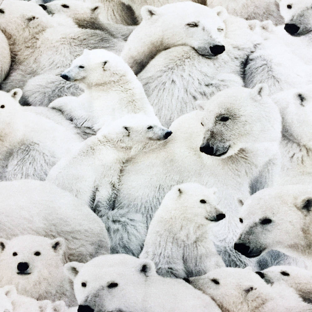 Molo Body Fonda Polar Bear