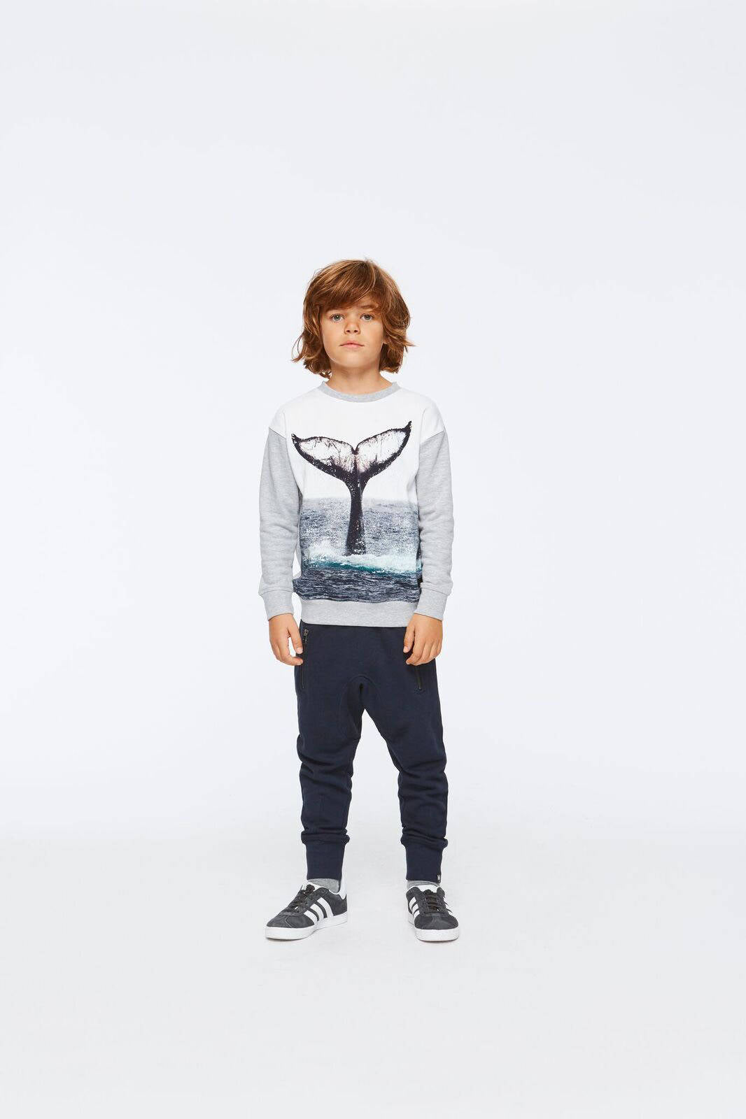 Molo Sweater Morell Whale Tail