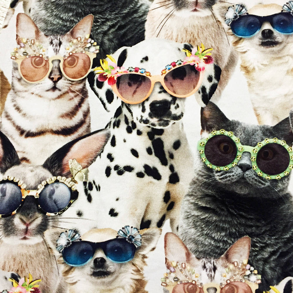 Molo Pulli Elsa Sunny Funny