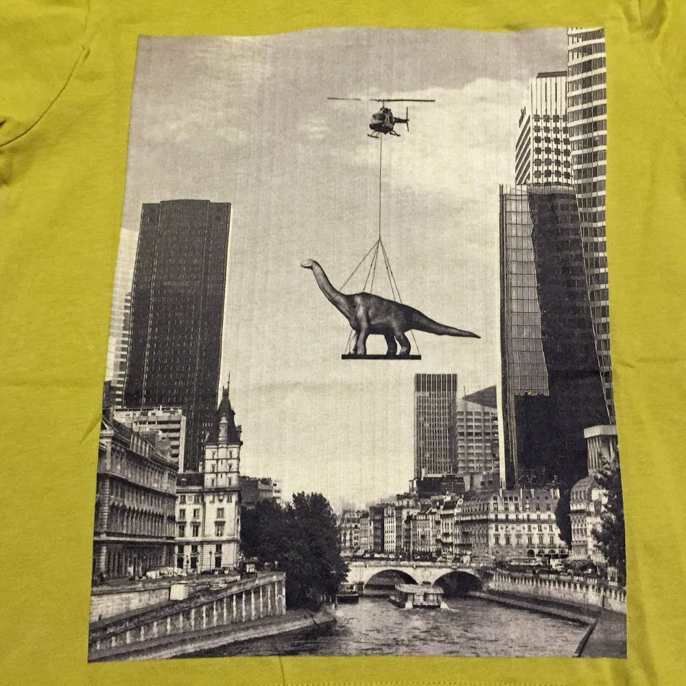 Molo Hoody Robert Flying Dino