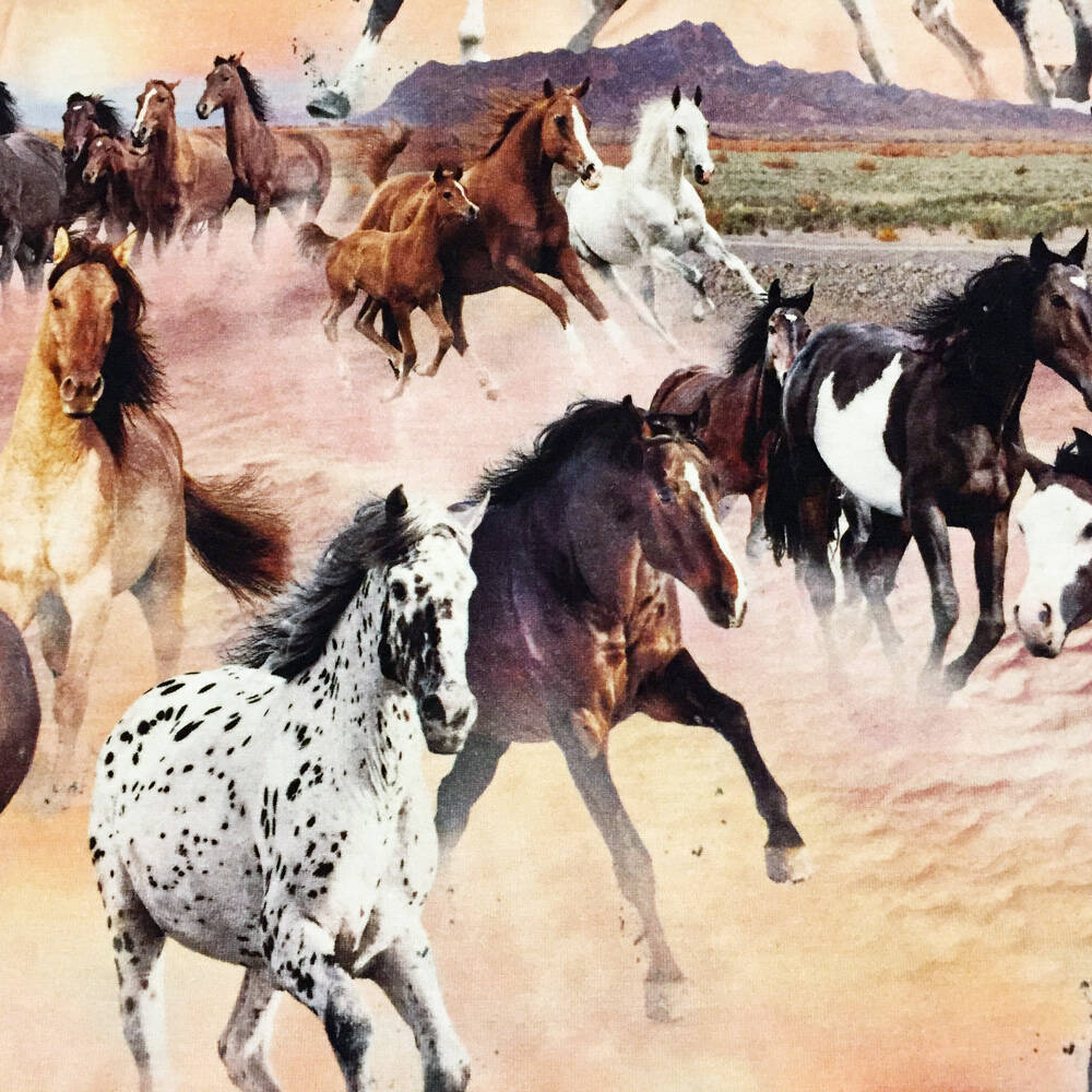 Molo T-Shirt Riva Wild Horses