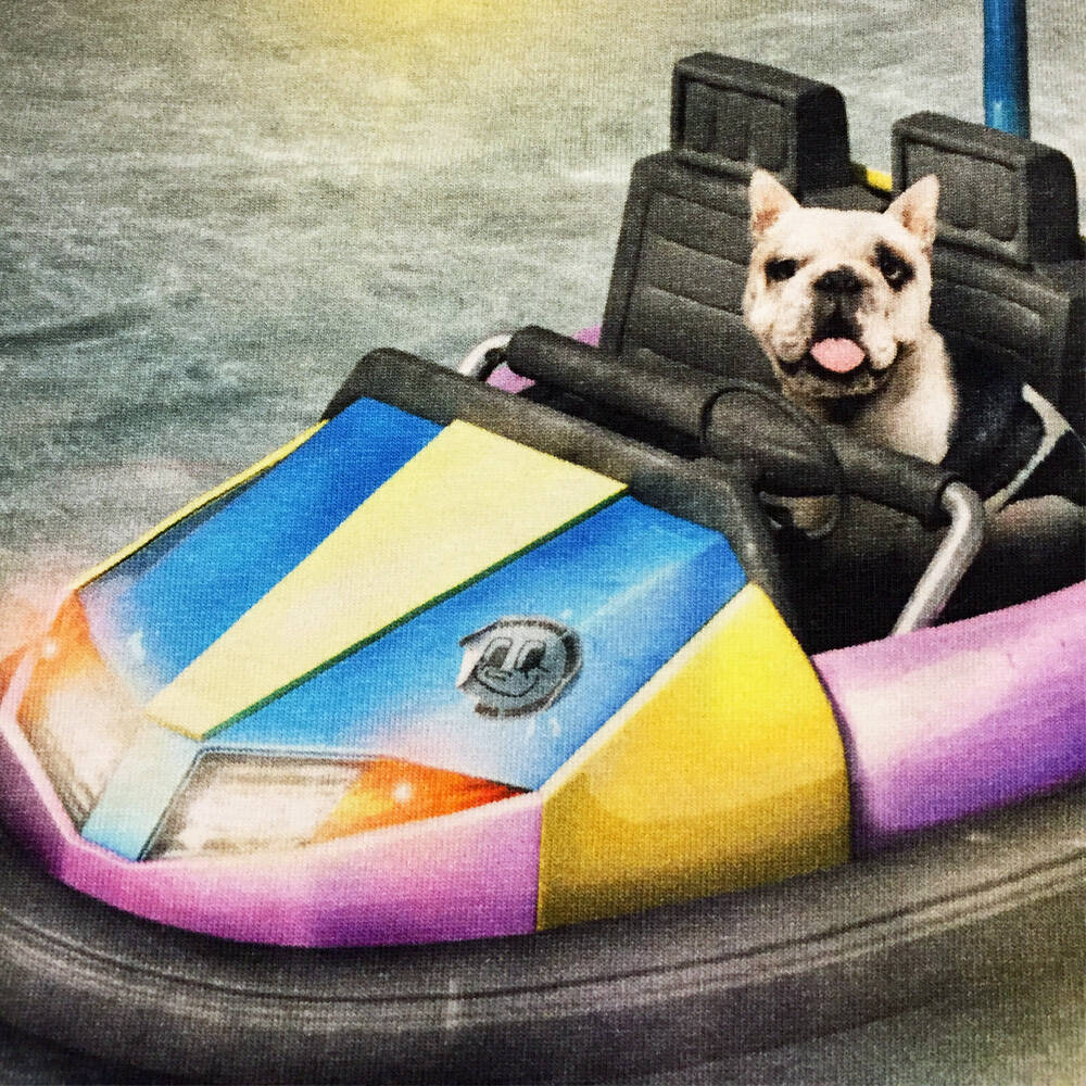 Molo T-Shirt Emilio Bumper Car