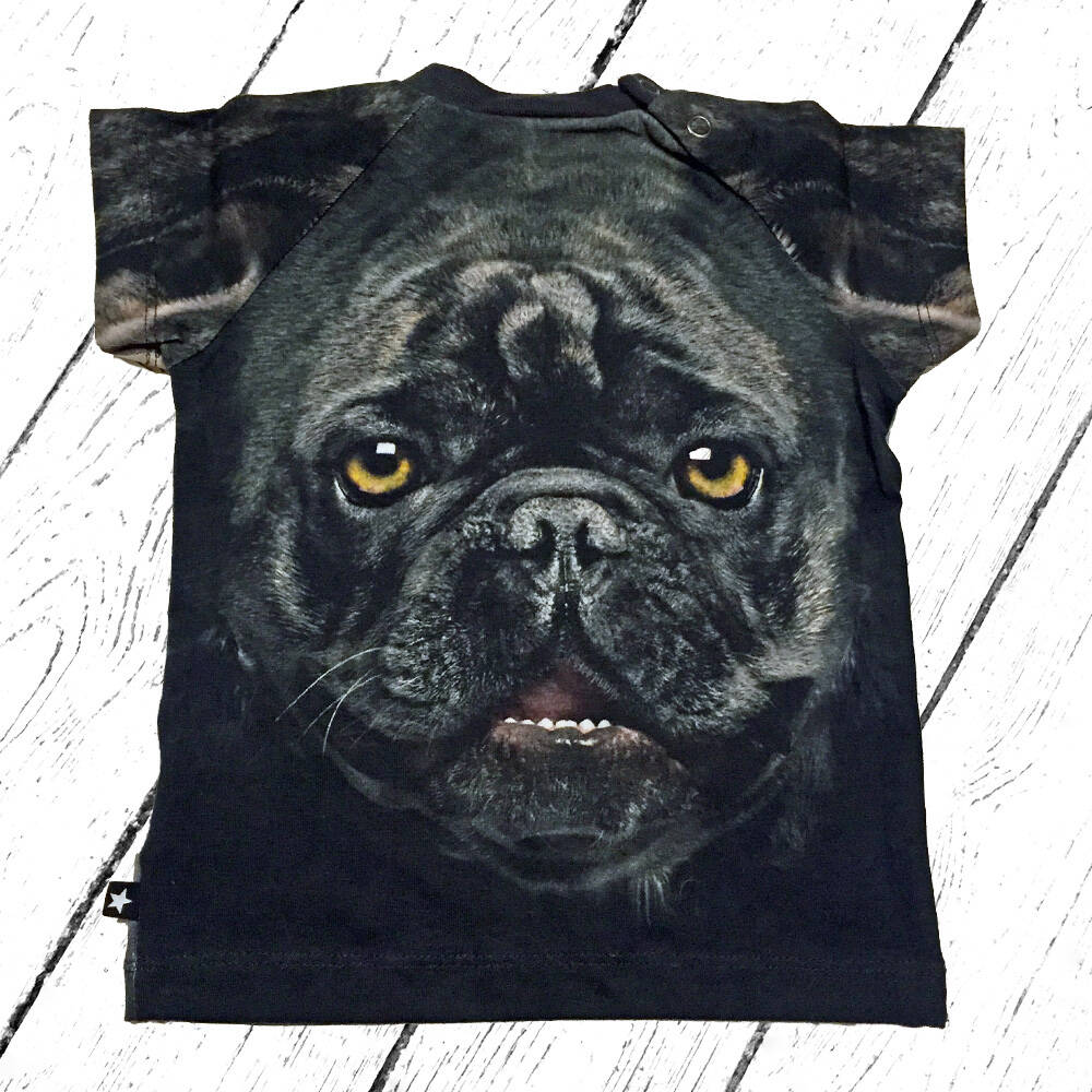 Molo T-Shirt Egon Black n White Bulldog