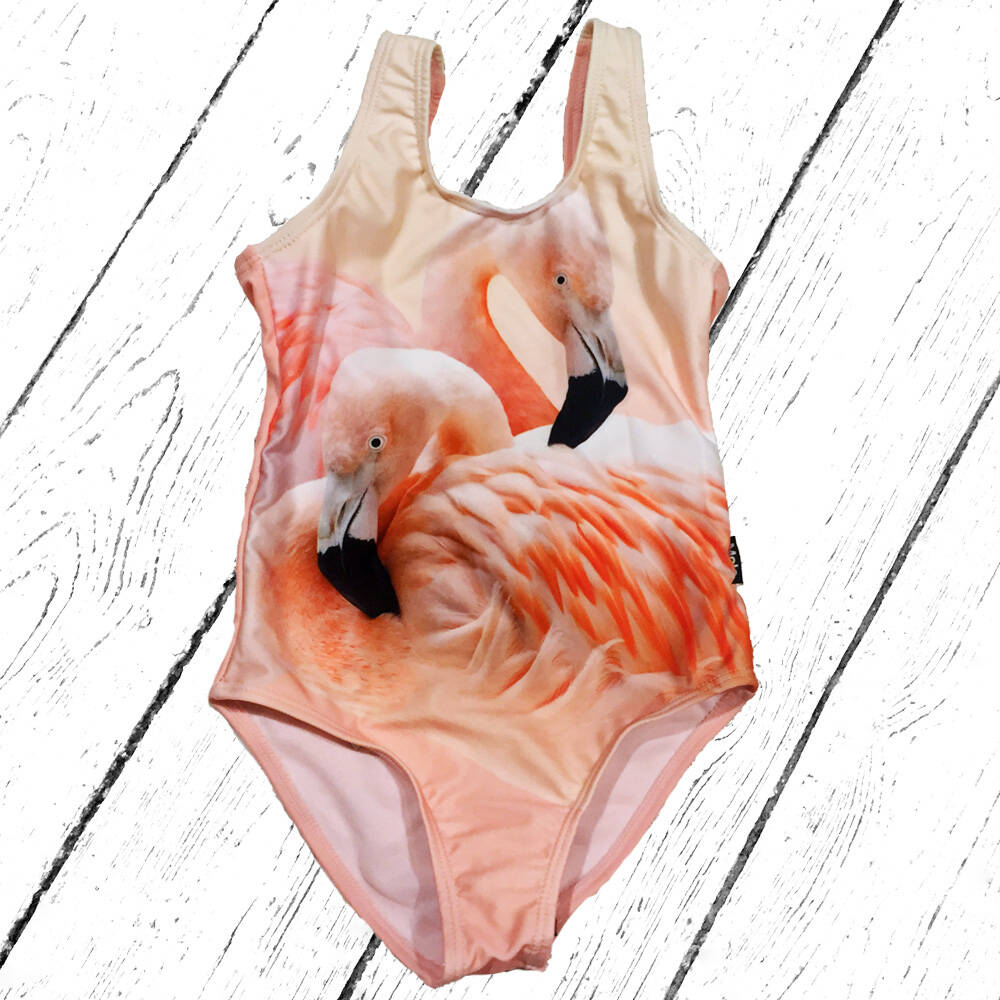 Molo Badeanzug Nika Flamingo Dream