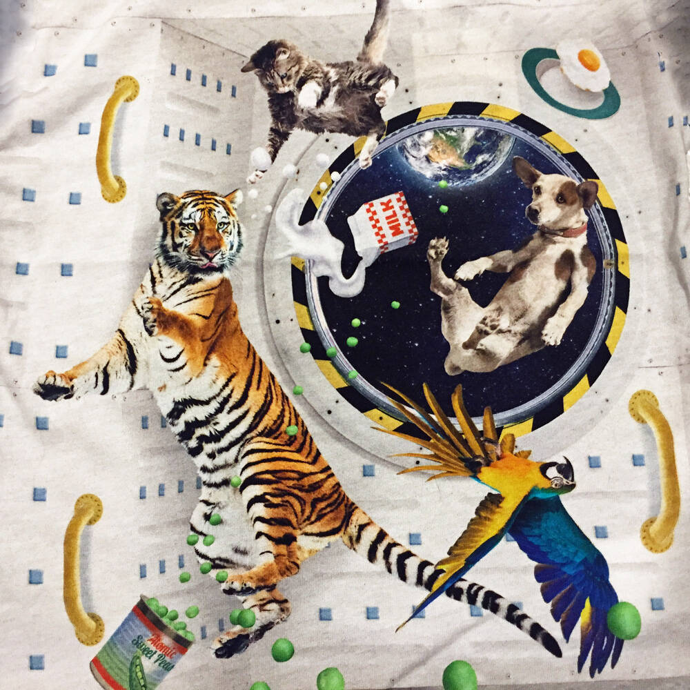 Molo Shirt Risci Space Meal