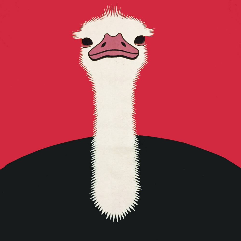 DYR Kleid Sahara Dress Cold Rose STRUDS