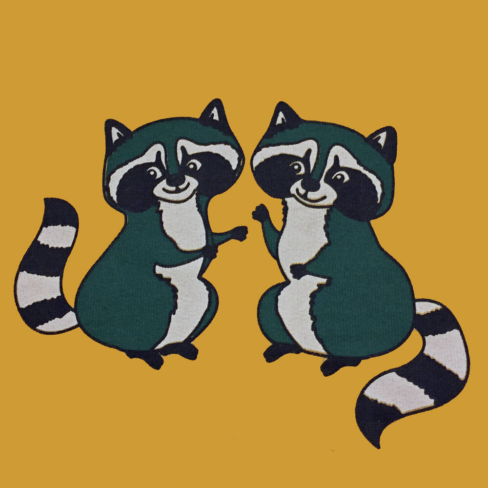 Smafolk Shirt with Racoon