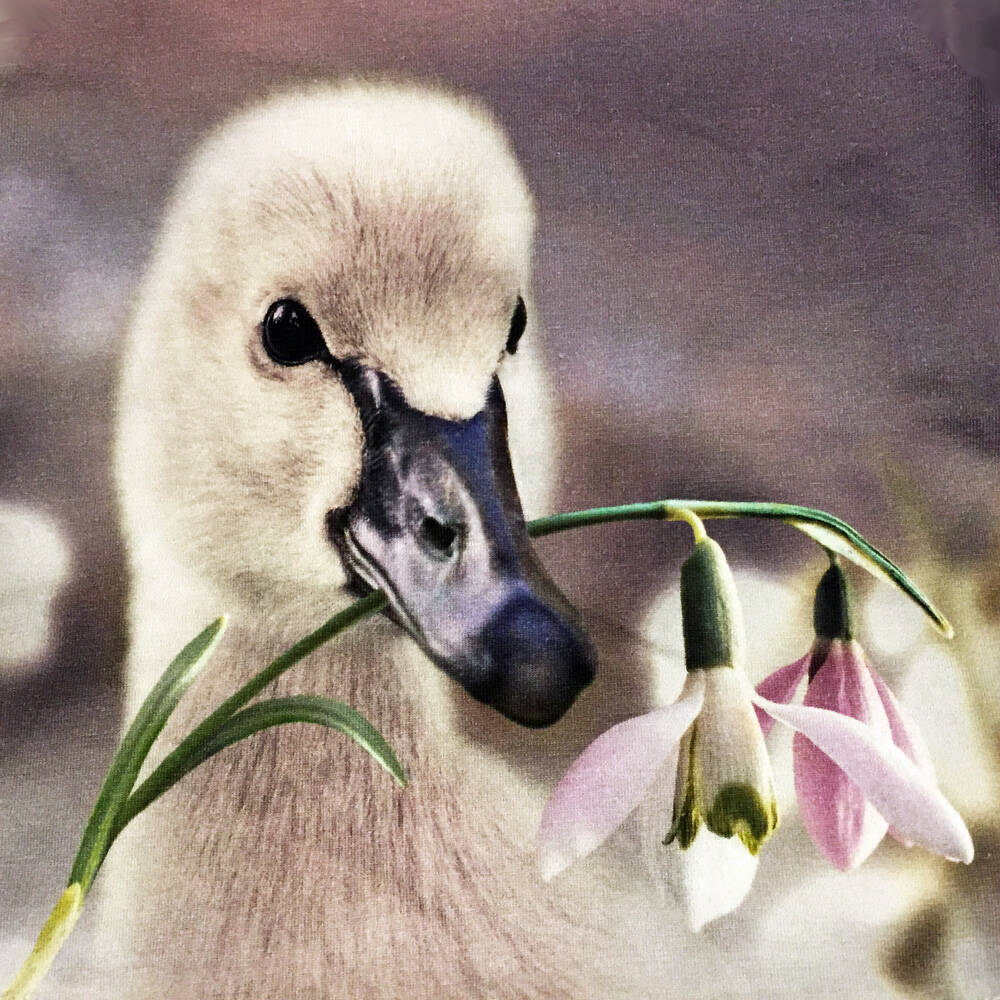 Molo Shirt Ebby Little Swan