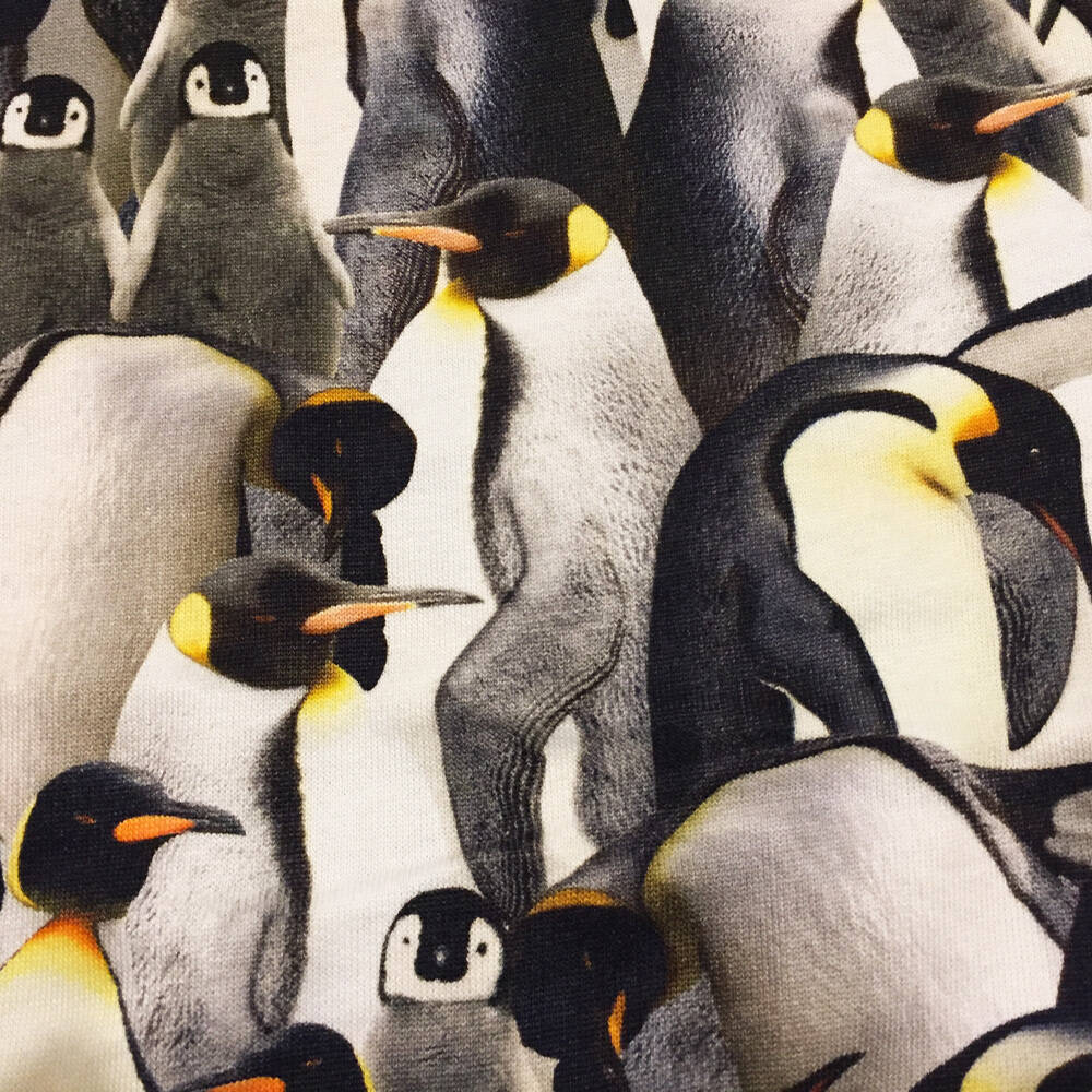 Molo Pulli Dag Penguins Galore