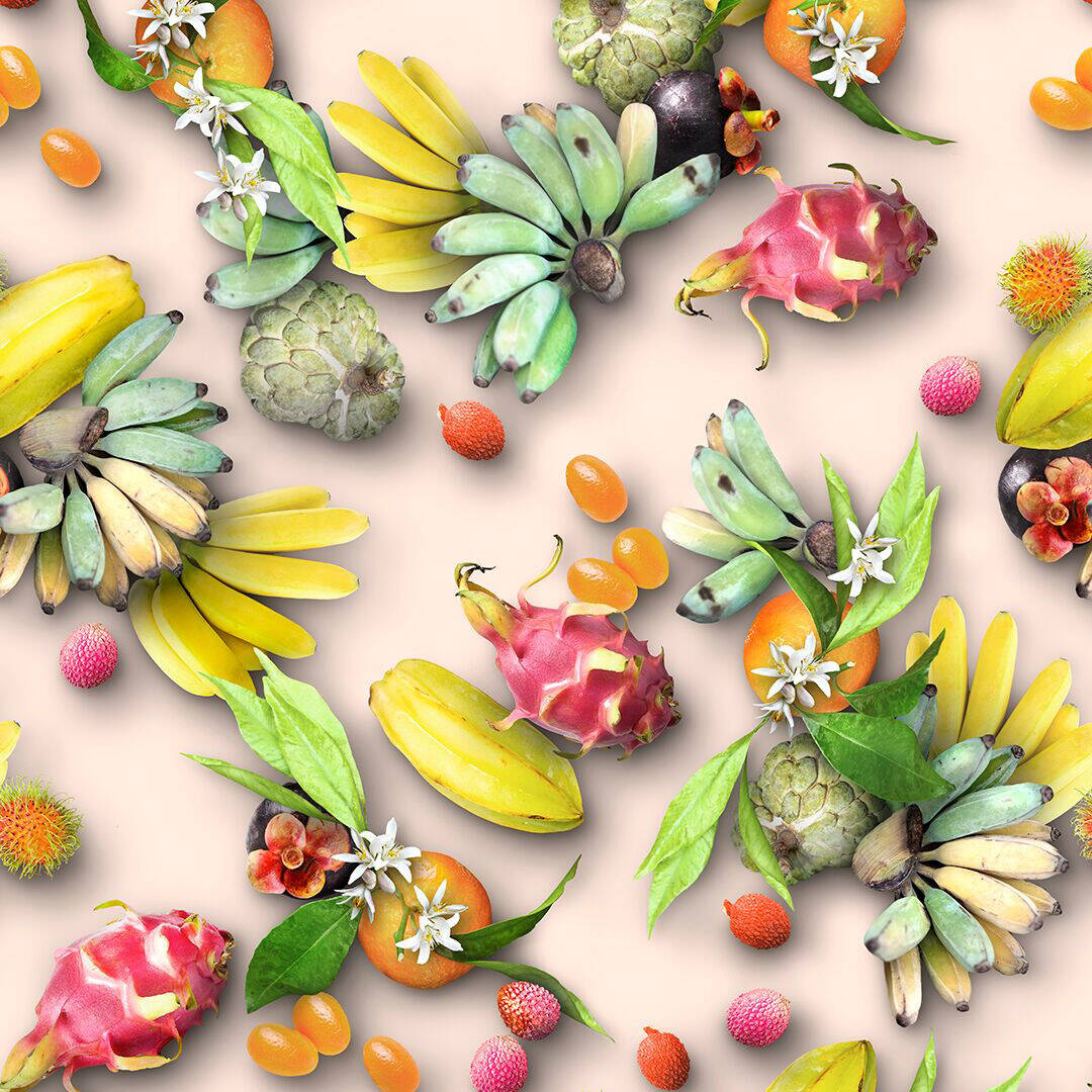 Molo Kleid Christa Tutti Frutti