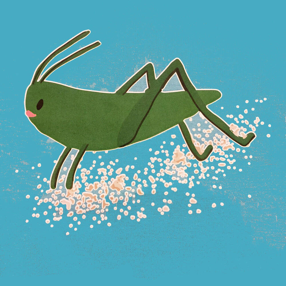 Baba Babywear T-Shirt Grasshopper