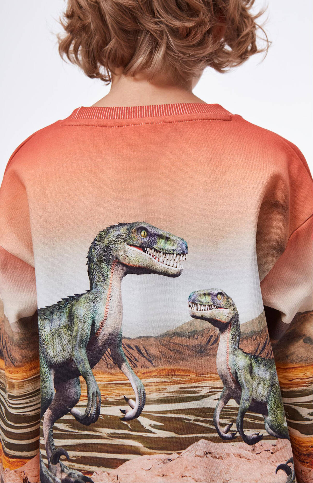 Molo Sweatshirt Mountoo Dino Landscape