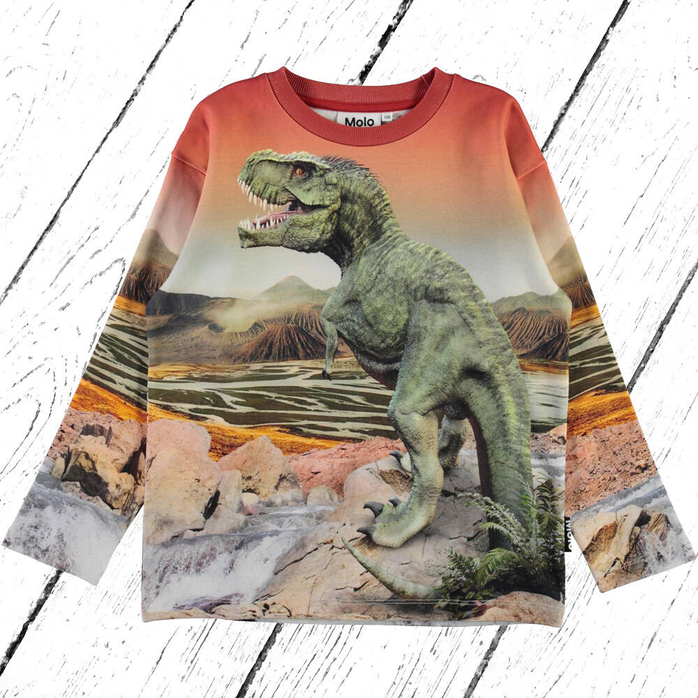 Molo Sweatshirt Mountoo Dino Landscape