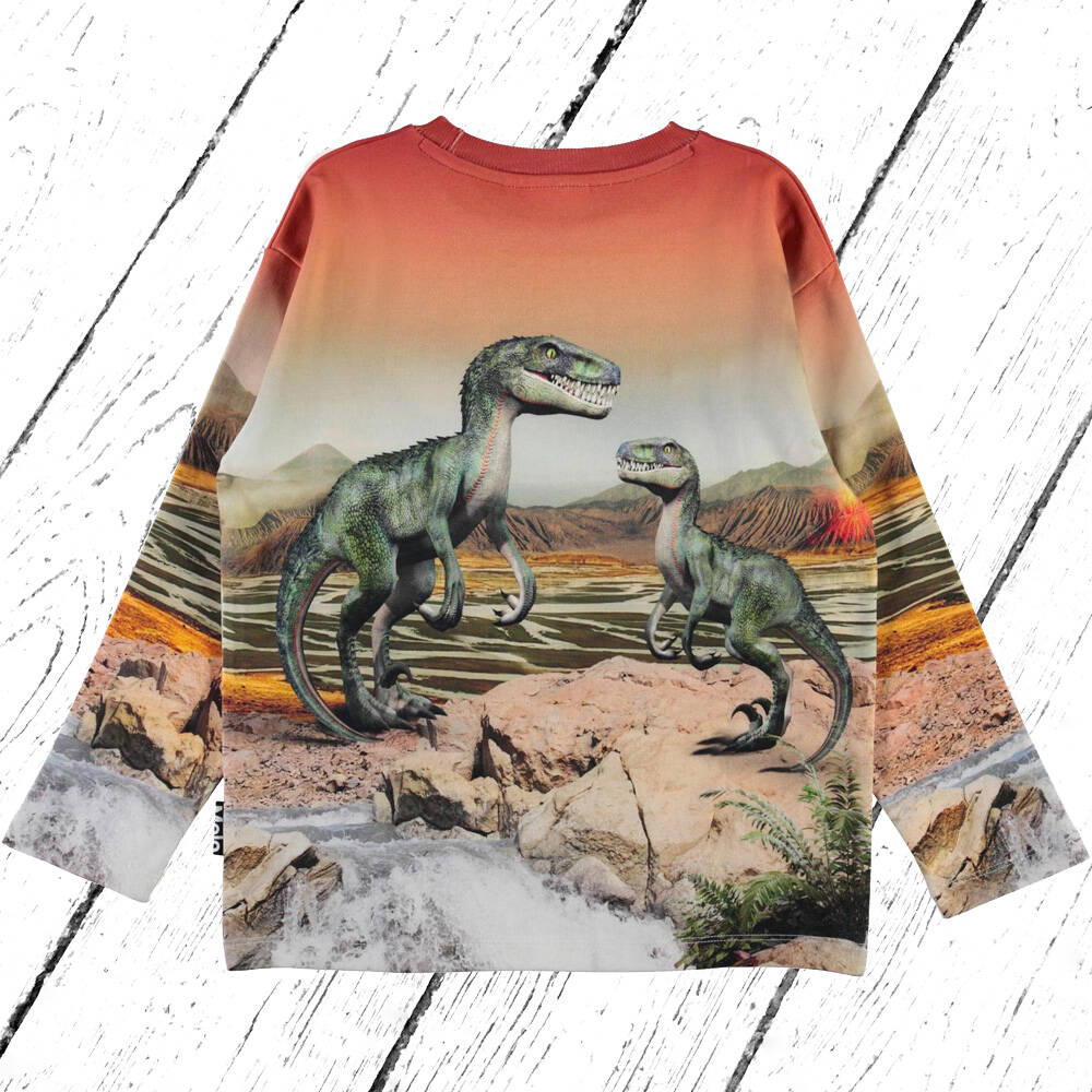 Molo Sweatshirt Mountoo Dino Landscape