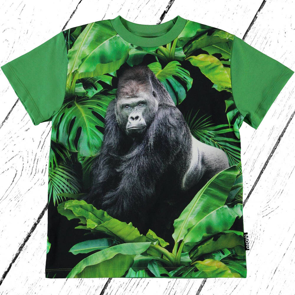 Molo T-Shirt Roxo Gorilla