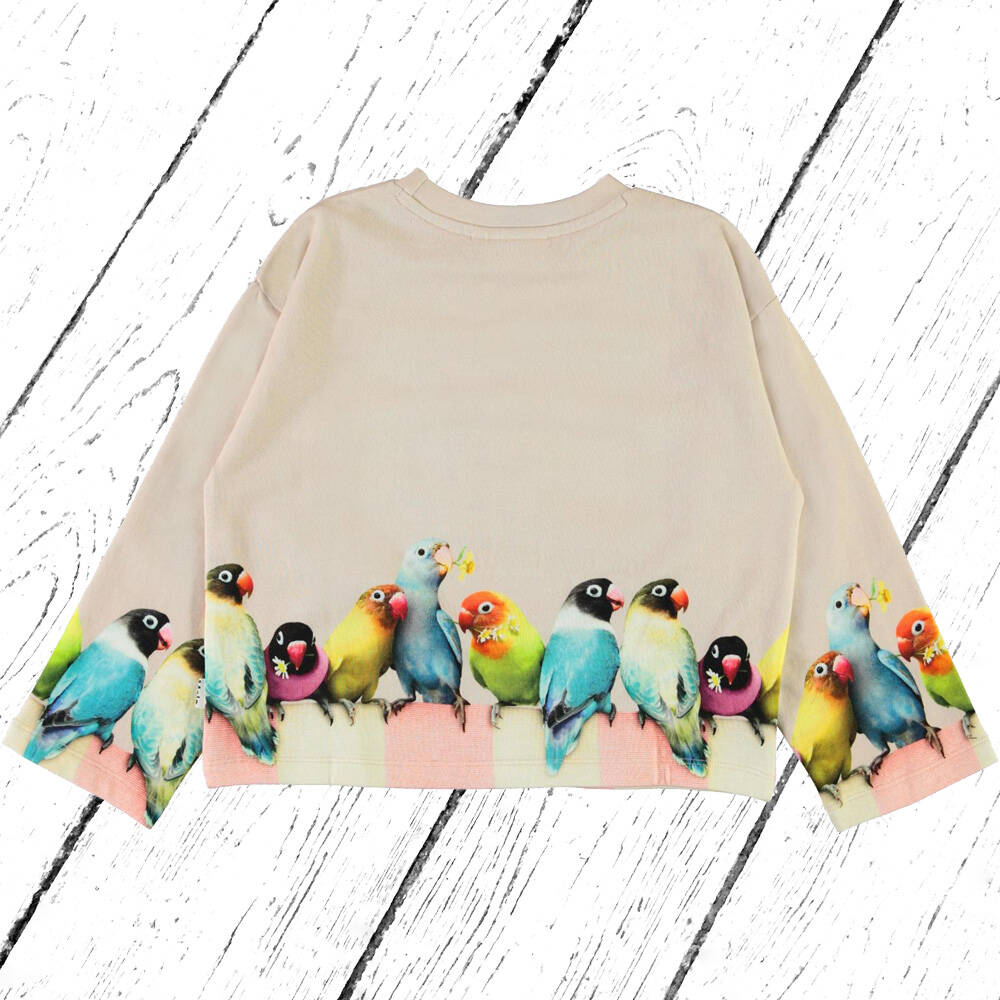 Molo Sweatshirt Mikko Love Birds Big