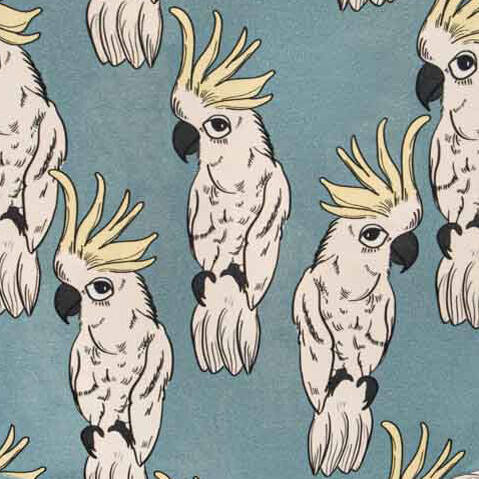 Dear Sophie Body Parrot