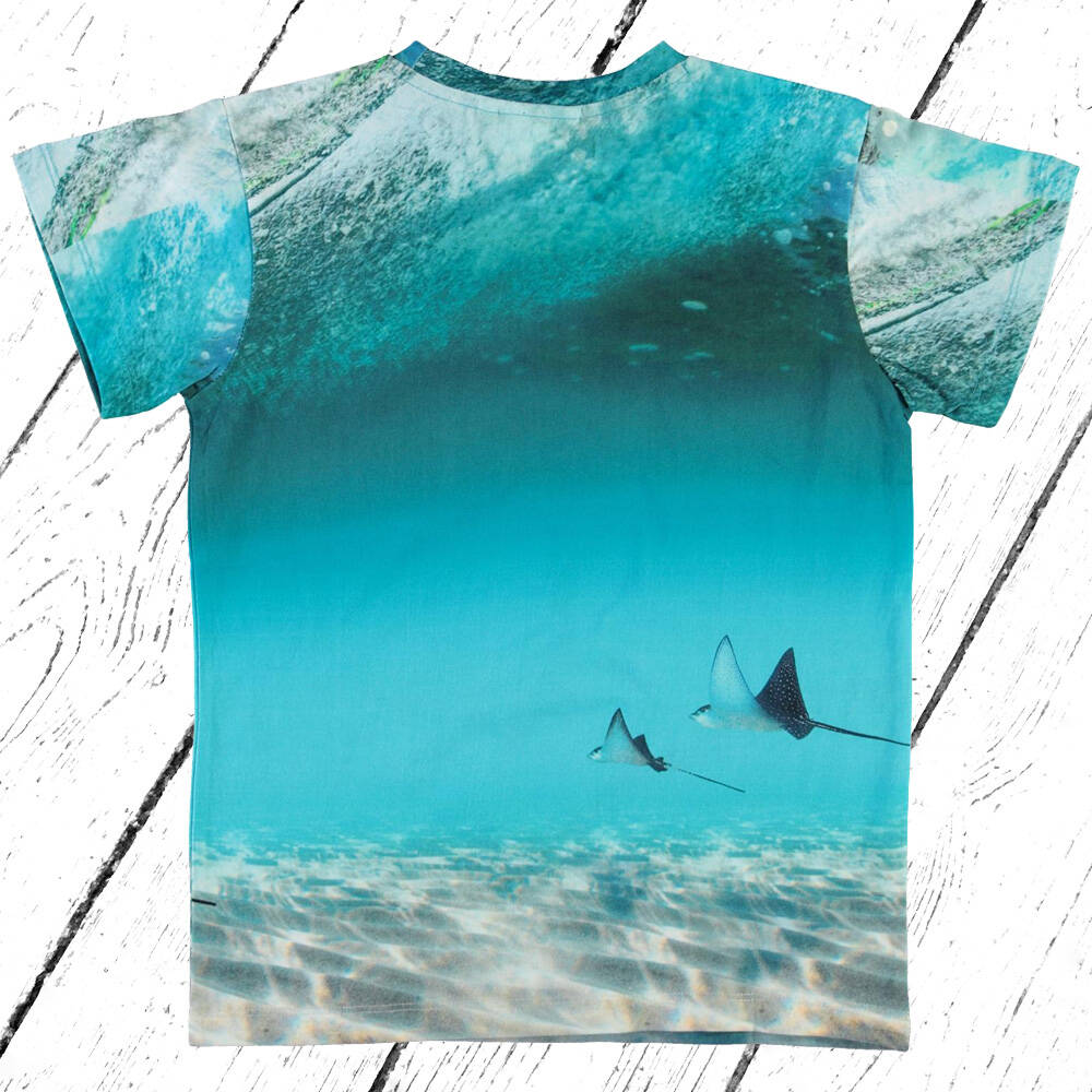 Molo T-Shirt Raul Sting Ray