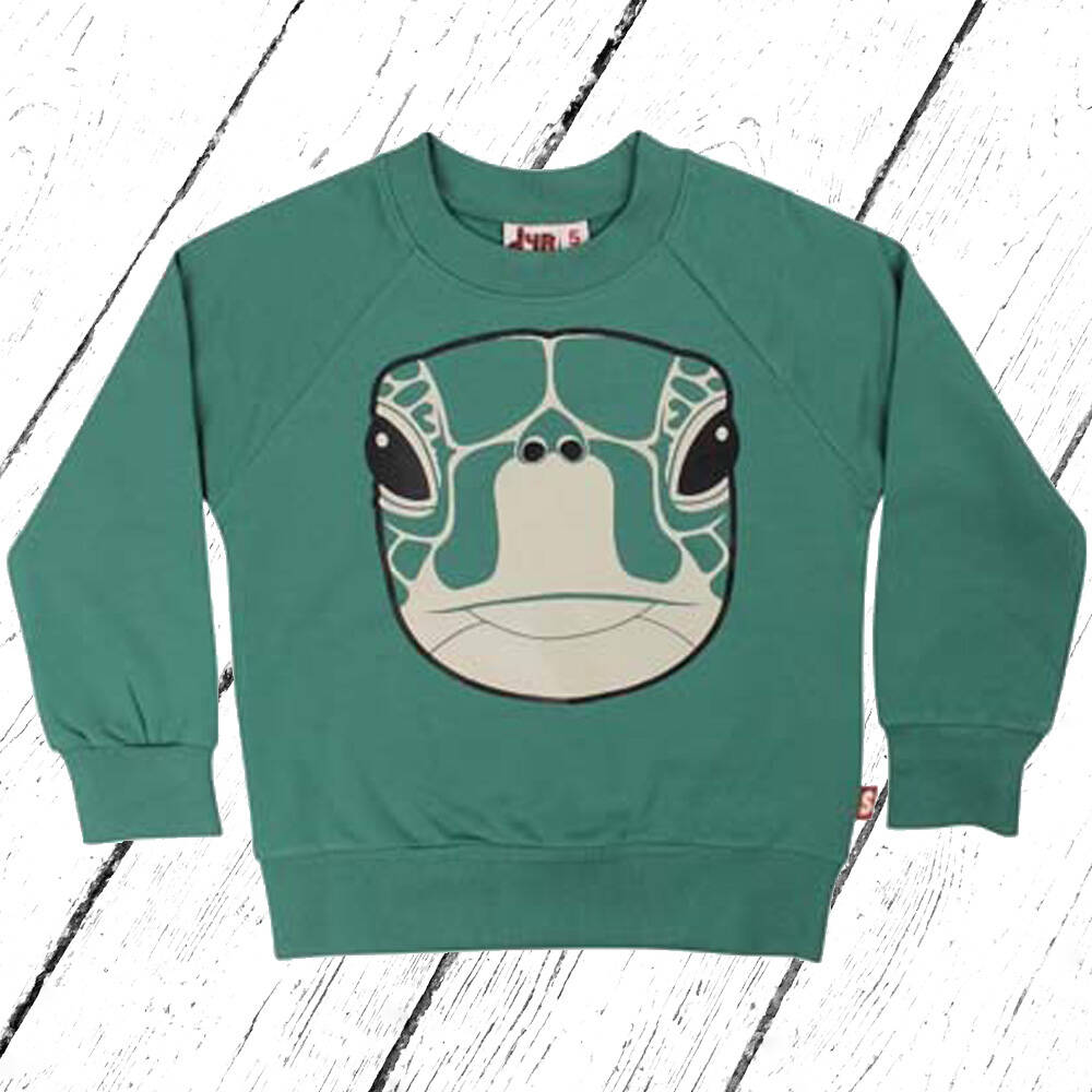DYR Sweatshirt Bellow Sweat Cold Green SKILDPADDE