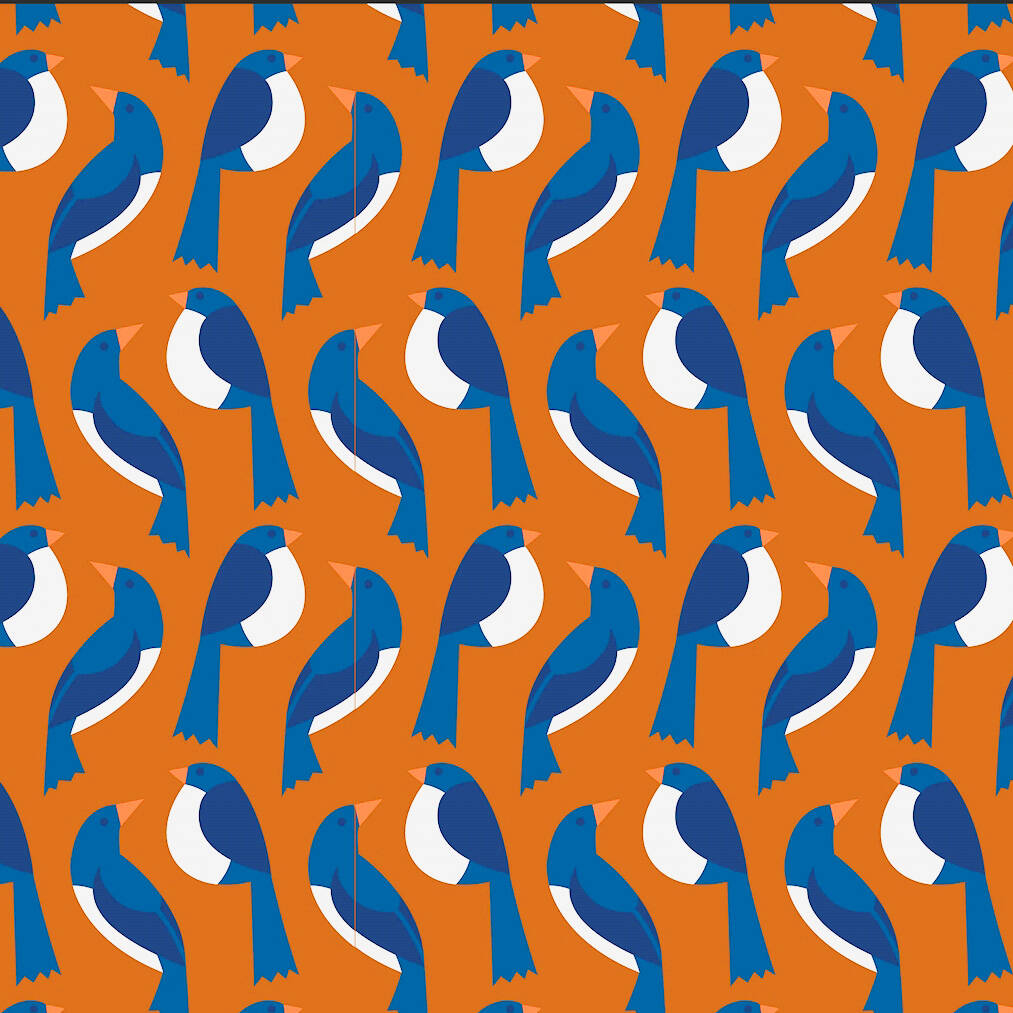 Lily Balou Shirt IDA Top Pigeon Party