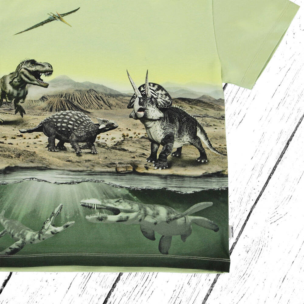 Molo T-Shirt Rame Dino Earth