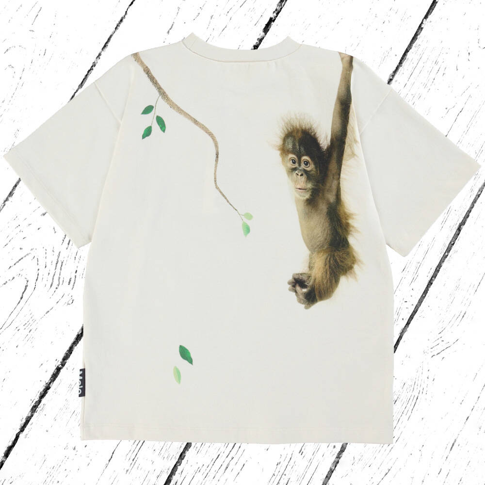 Molo T-Shirt Rillo Palmtree Monkey