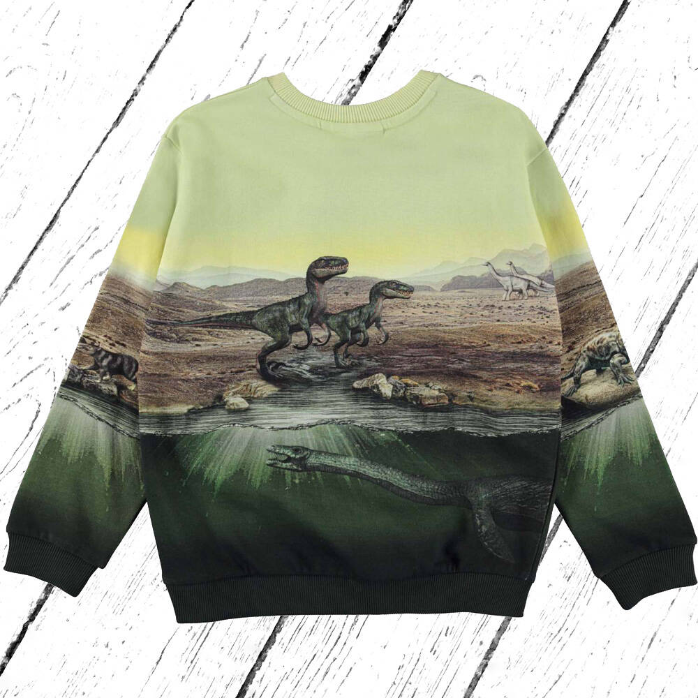 Molo Sweatshirt Miksi Dino Earth