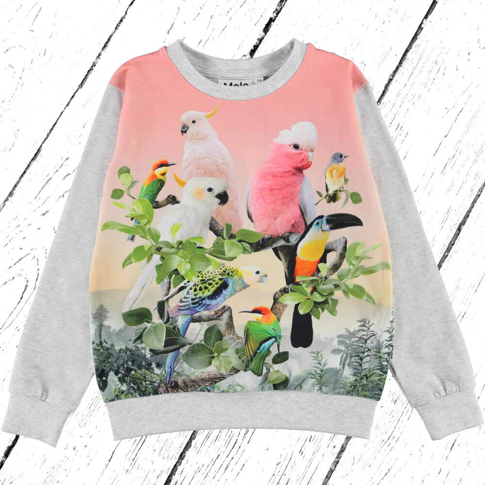 Molo Sweater Regine Jungle Birds