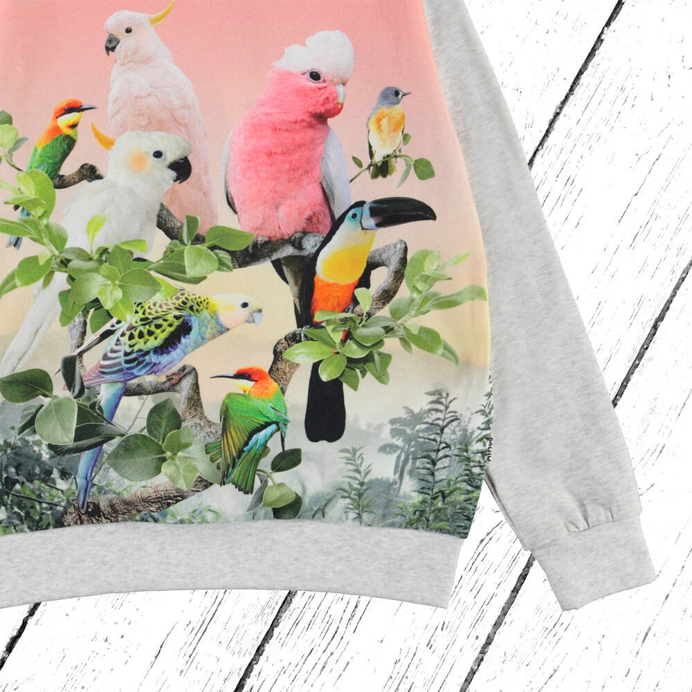 Molo Sweater Regine Jungle Birds