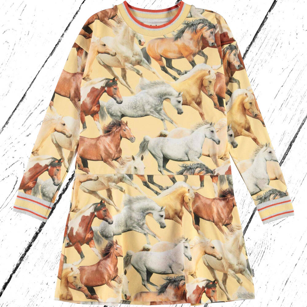 Molo Kleid Conny Horse Dreams