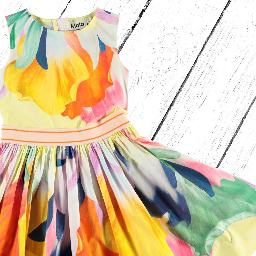 Molo Kleid Carli Colourful Joy