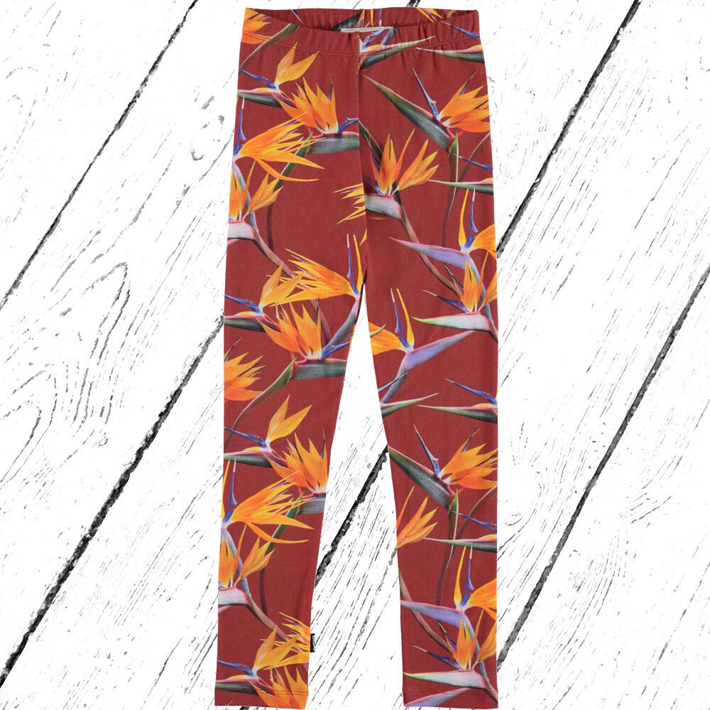 Molo Leggings Niki Paradise AOP