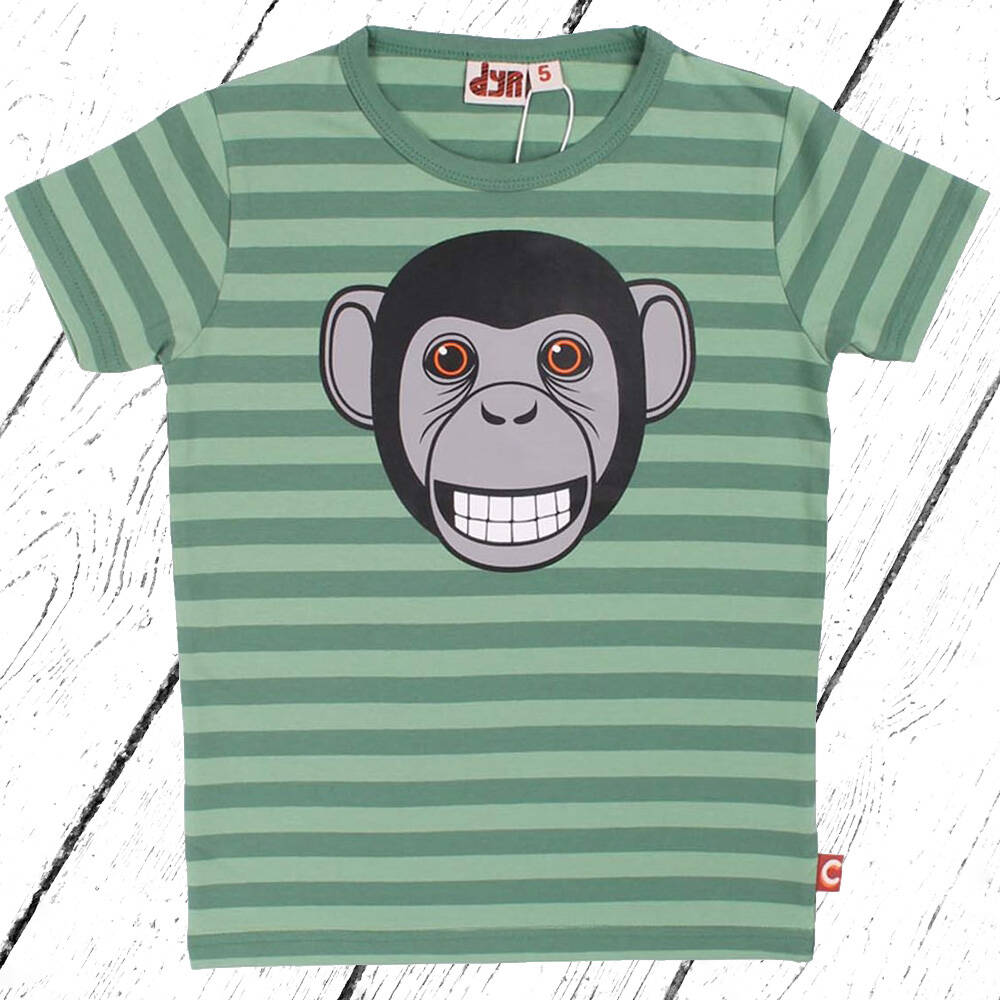 DYR T-Shirt Growl T Sage Rover Khaki CHIMP