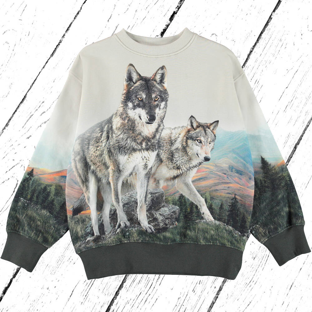 Molo Sweatshirt Mattis Wolf Friends