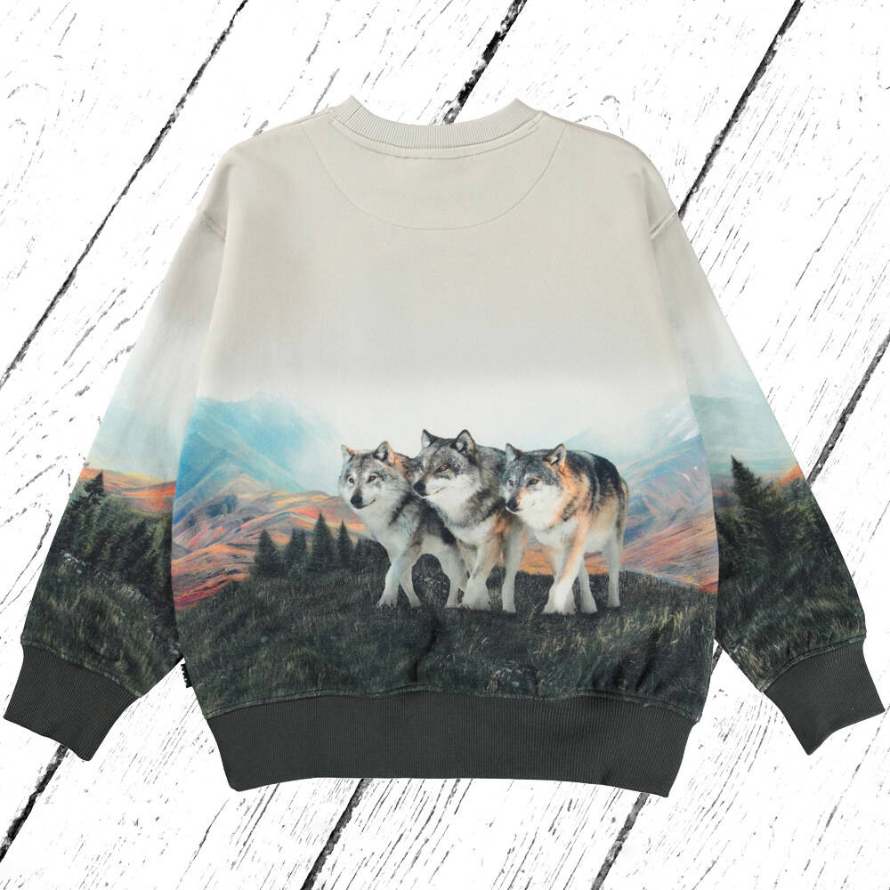 Molo Sweatshirt Mattis Wolf Friends