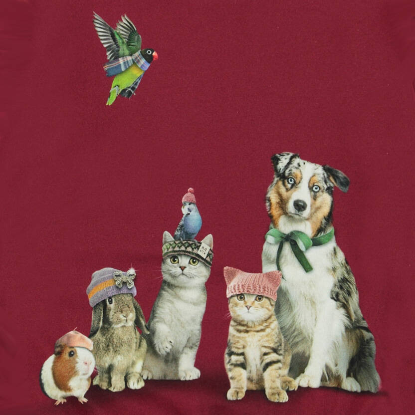 Molo Shirt Regine Family Photo