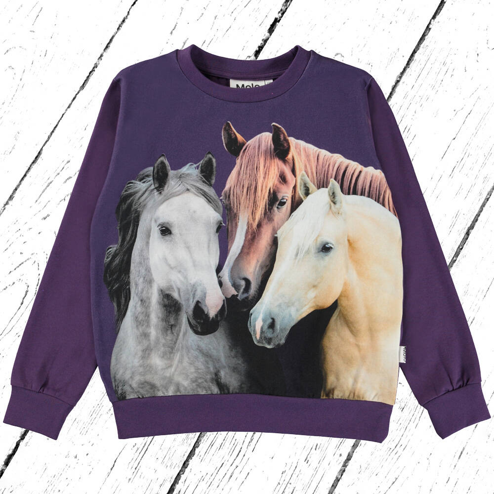 Molo Shirt Regine Triplets Purple