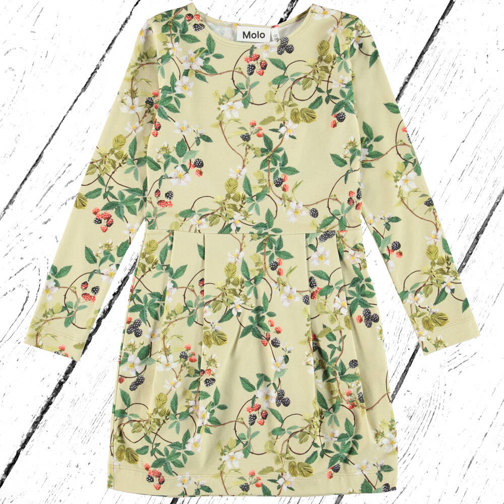 Molo Kleid Cindarell Dress Bramble