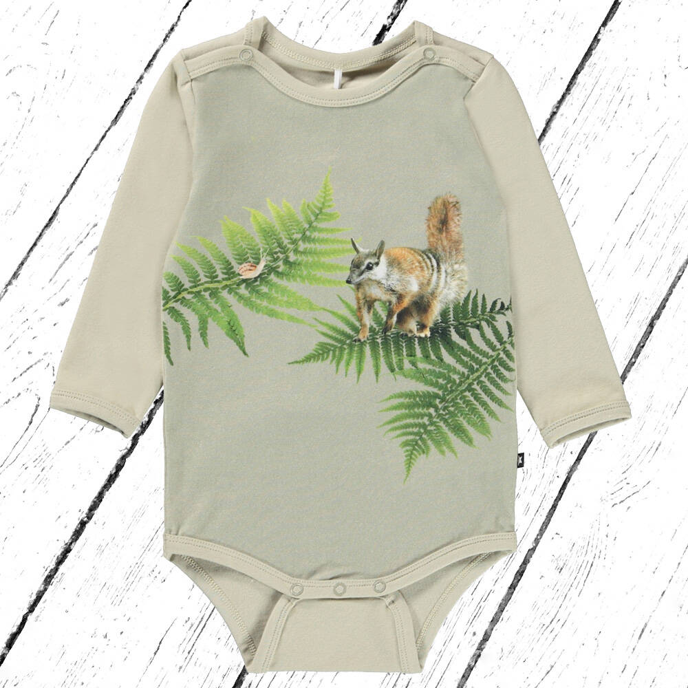 Molo Body Foss Fern Encounter