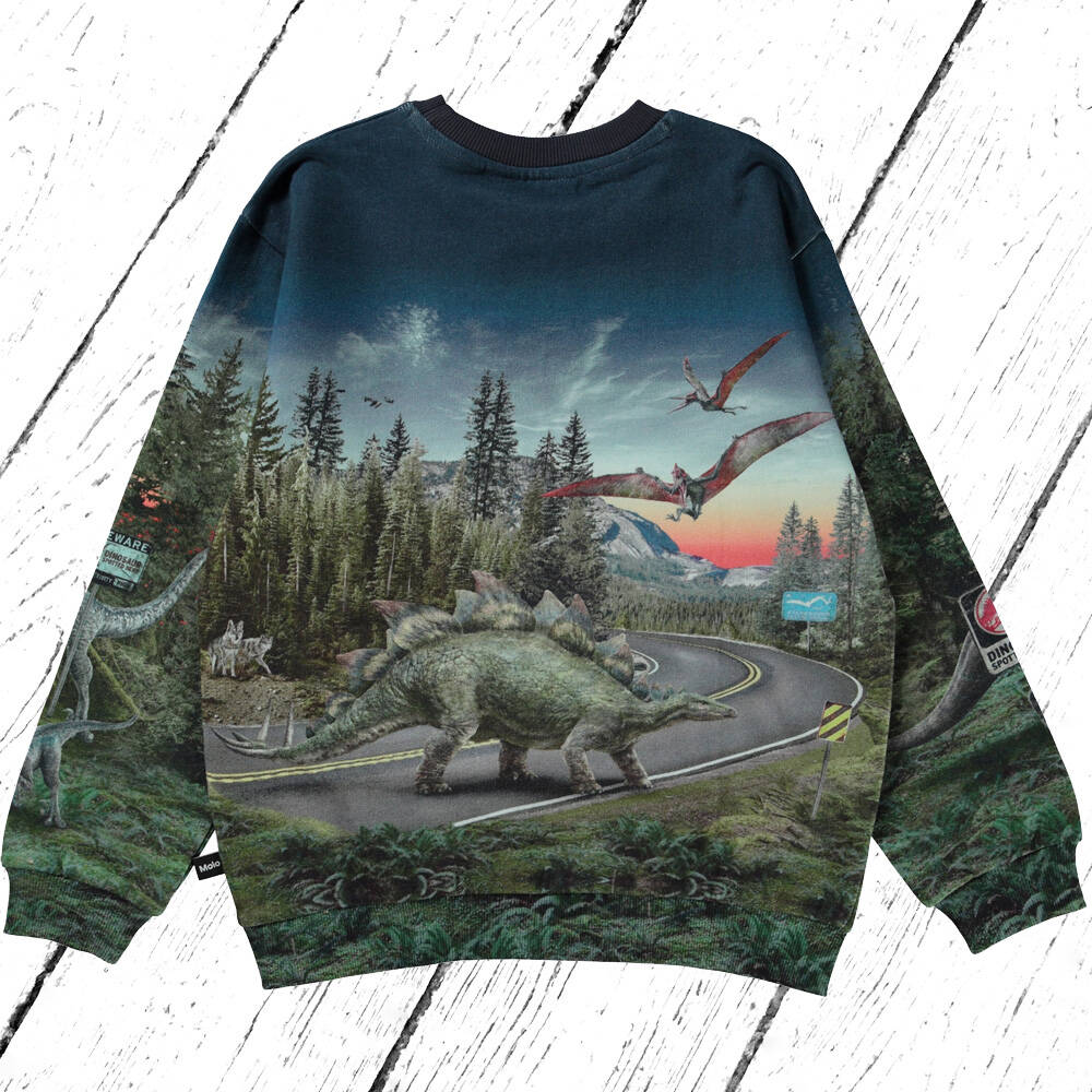 Molo Sweatshirt Miksi Co Exist