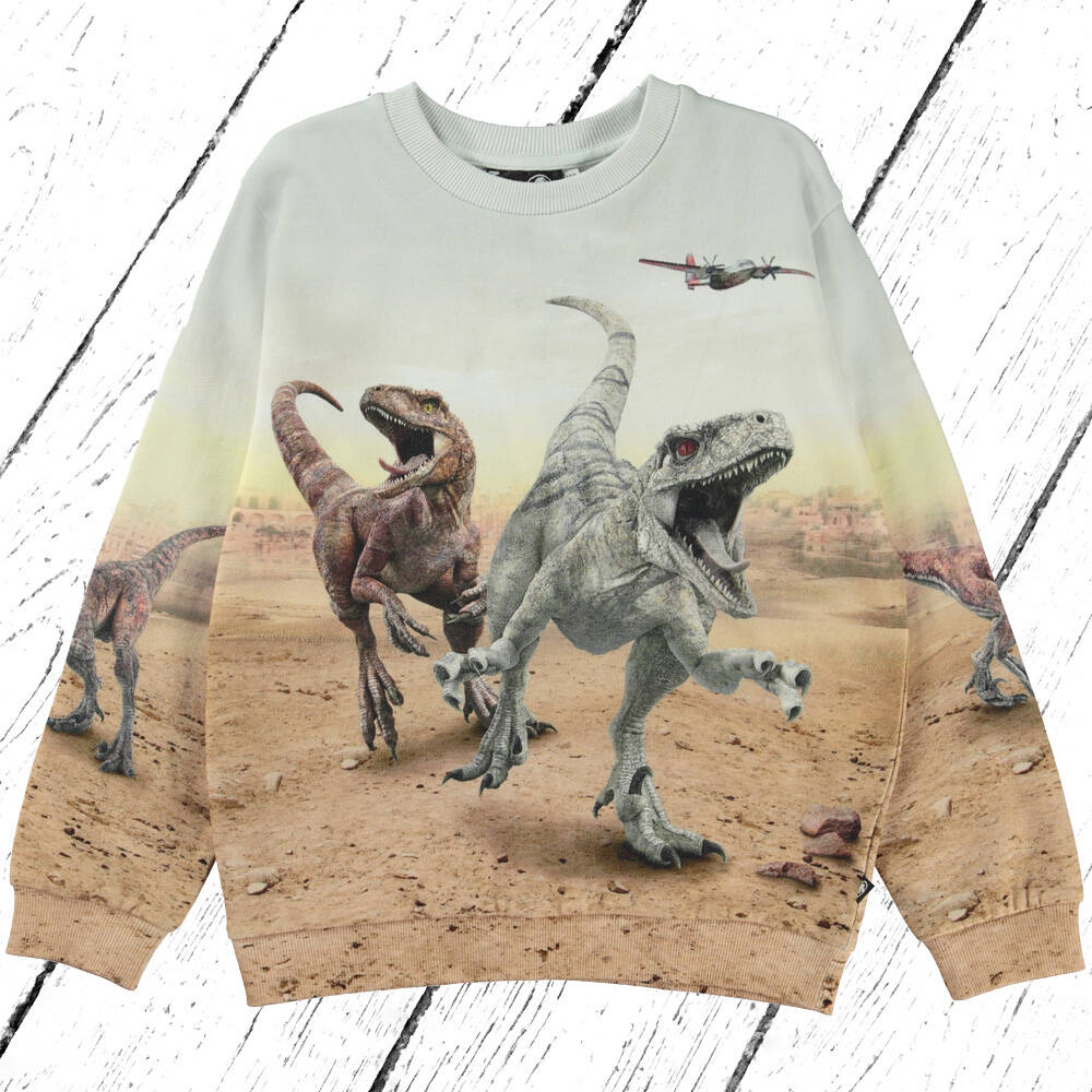 Molo Sweatshirt Miksi Dinos Galore