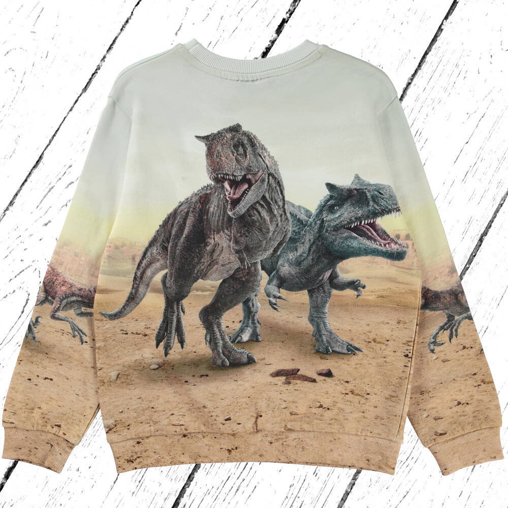 Molo Sweatshirt Miksi Dinos Galore