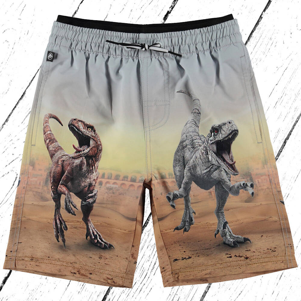 Molo Badehose Neal Dino Scenery