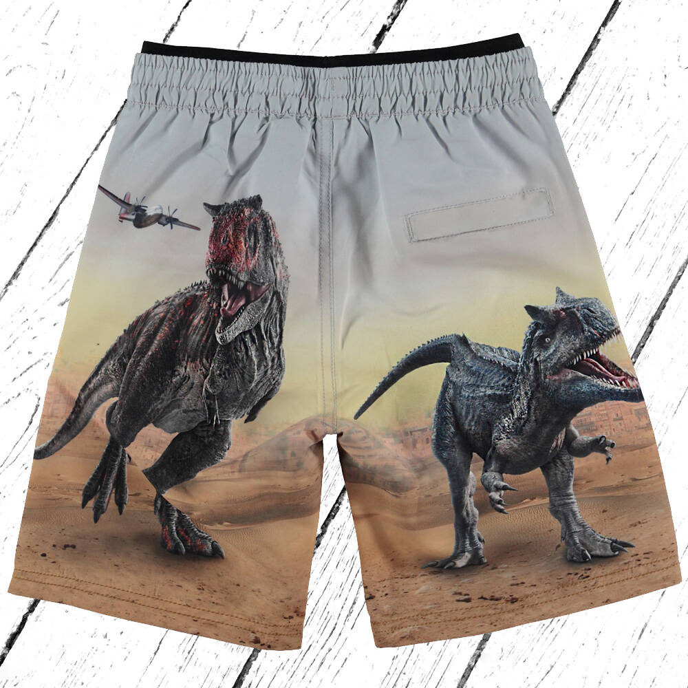 Molo Badehose Neal Dino Scenery