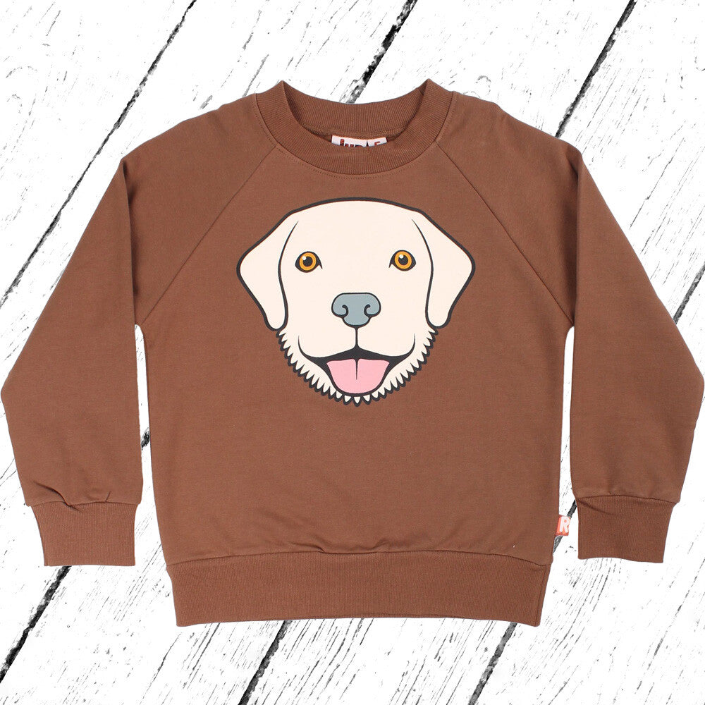 DYR Pulli Bellow Sweat Brown Beige RETRIEVER